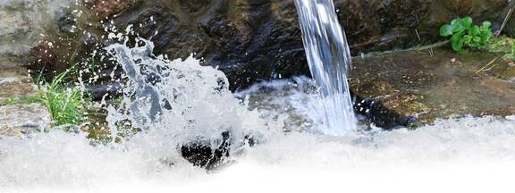 Pilgerwege durch Mecklenburg-Vorpommern