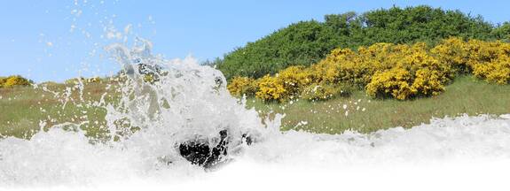 Franzburg: Naturlehrpfad Hellberge