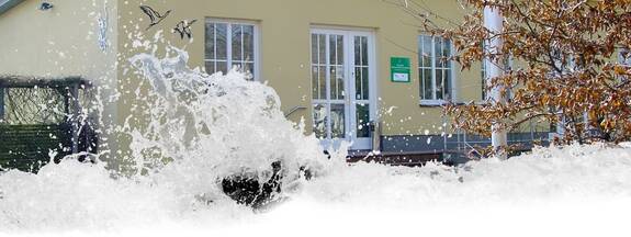 Groß Mohrdorf: Kranich-Informationszentrum