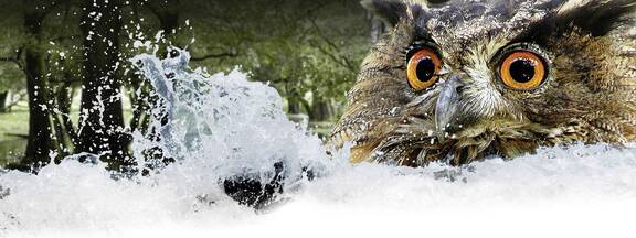 Güstrow: Wildpark-MV