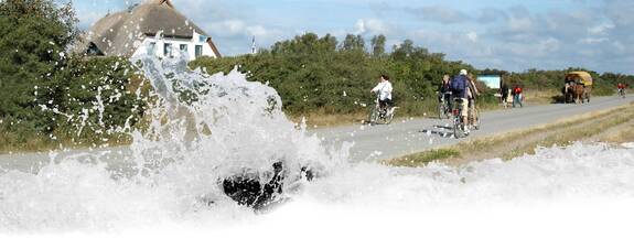 Insel Hiddensee / Vitte: Nationalparkhaus Hiddensee
