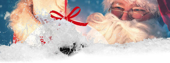 Insel Rügen: Bergener Weihnachtsmarkt