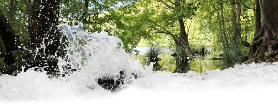 Insel Rügen: Herthasee