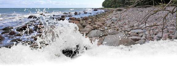 Insel Rügen / Lohme: Steinstrand vor der Steilküste