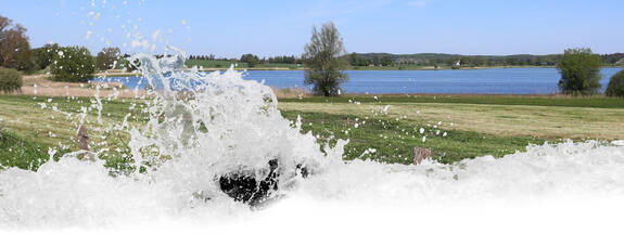 Bergen auf Rügen: Lehrpfad Nonnensee