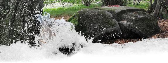 Insel Rügen: Opferstein Quoltitz