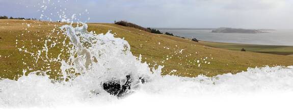 Insel Rügen: Zickersche Berge