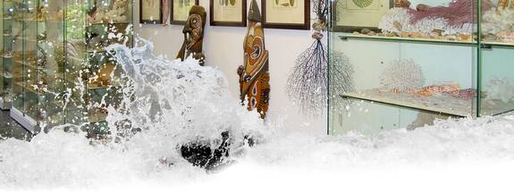 Insel Usedom / Heringsdorf: ehemaliges Muschelmuseum