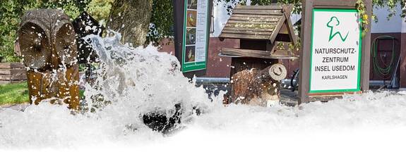 Insel Usedom / Karlshagen: Naturschutzzentrum