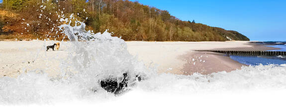 Insel Usedom / Koserow: Streckelsbarg