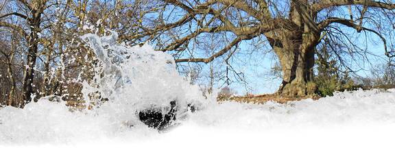 Kröpelin: Historischer Pfad