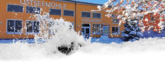 Langenhanshagen: OSTSEEMÜHLE