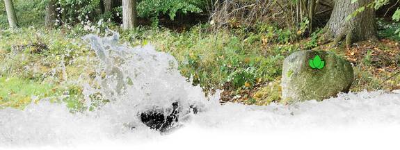 Löbnitz: Wanderweg Buchenhorst