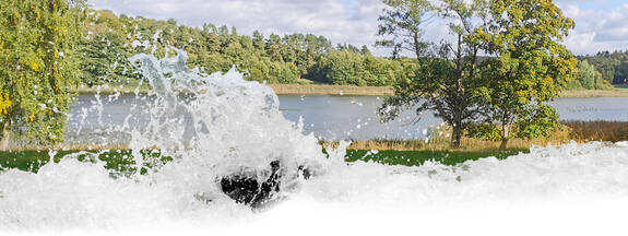 Lohmen: Lehrpfad Lähnwitz