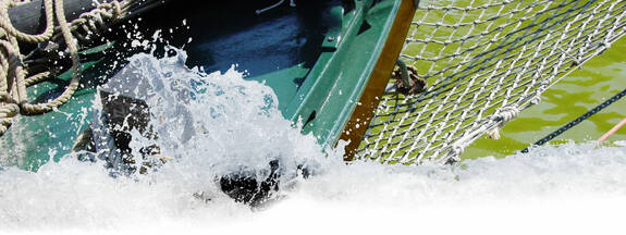 Kleines Seemanns-ABC 