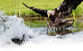 Unterkünfte im Urlaubsort Marlow