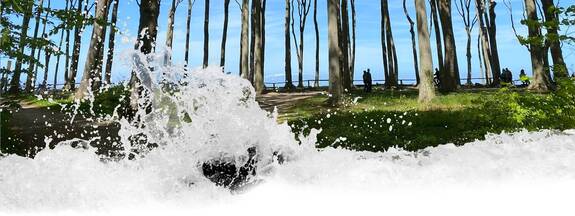 Gespensterwald Nienhagen