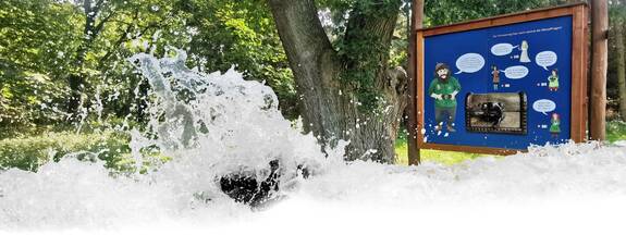 Naturlehrpfad »Der Baumschatz von Schuenhagen«