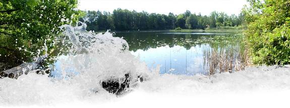 Naturpark Sternberger Seenland