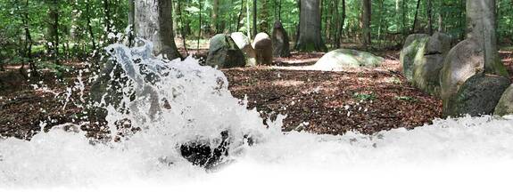 Warin OT Mankmoos: Großsteingräber