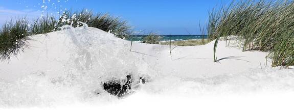 Ostsee: Küstenschutz