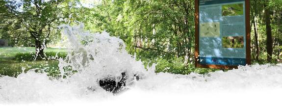 Plau am See: Naturlehrpfad Plauer Stadtwald