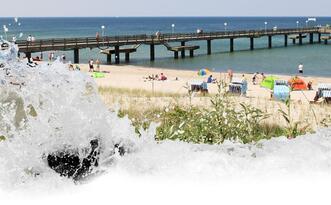 Unterkünfte im Urlaubsort Rerik