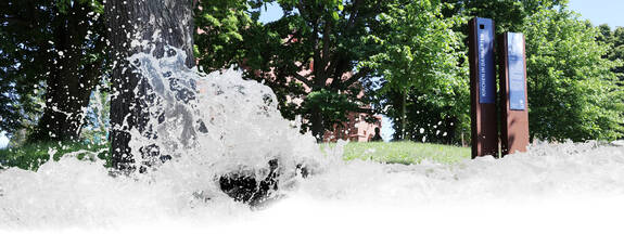 Ribnitz-Damgarten: Historischer Rundgang Damgarten