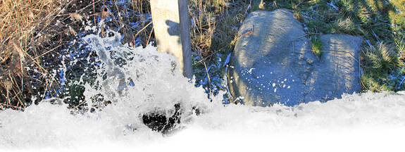 Ribnitz-Damgarten: Moischenstein Langendamm