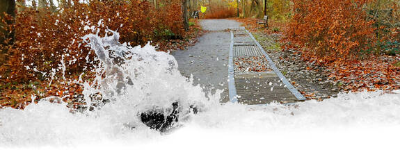 Ostseeheilbad Graal-Müritz: Barfußpfad 