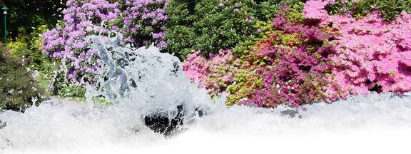 Parkanlagen entlang der Ostsee