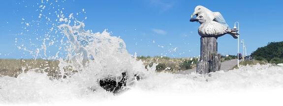 Graal-Müritz: Kunstpfad »GroßArtige Küstenflora und -fauna«