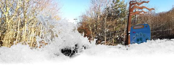 Ostseeheilbad Graal-Müritz: Ostseelehrpfad