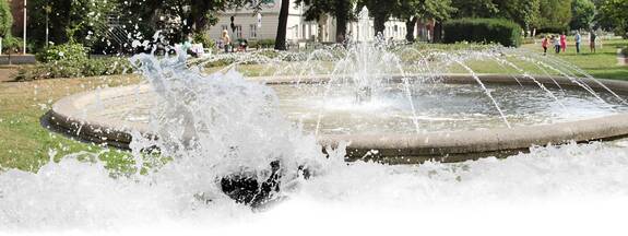 Rostock: Brunnen im Rosengarten