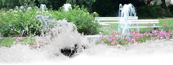 Rostock: Brunnen "Leben im Wasser"