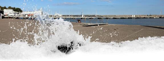 Insel Rügen: Sassnitzer Hafen