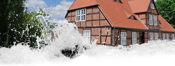 Golberg: Natur-Museum