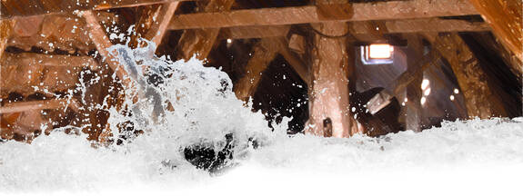 Stralsund: Museumshaus