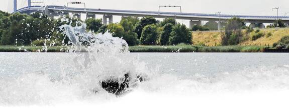 Stralsund: Strelasund