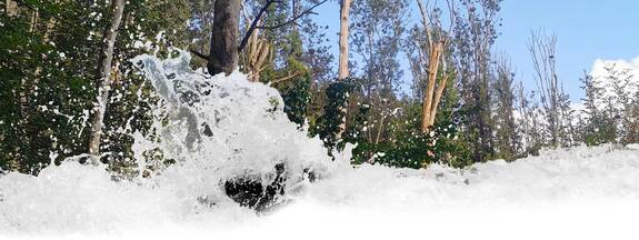 Sundhagen: NSG Kormorankolonie Niederhof