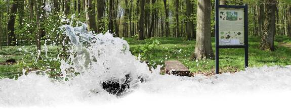 Gruel: Lehrpfad Tribohmer Bachtal