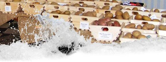 Tribsees: Vorpommersches Kartoffelmuseum