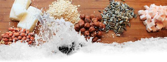 Vogelfutter: Fettfutter herstellen