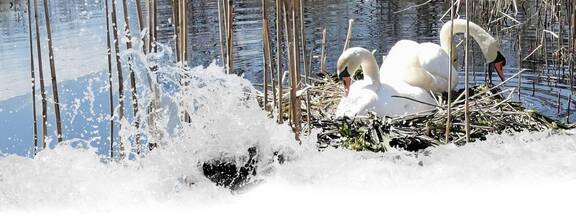 Wissenswertes: Natur erleben
