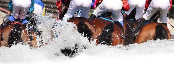 Bad-Doberan: Pferderennbahn Heiligendamm