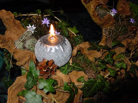 Adventsarrangement auf einer Wurzel
