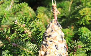 Vogelfutter herstellen