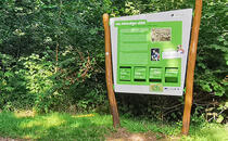 Museen Mecklenburg-Vorpommern