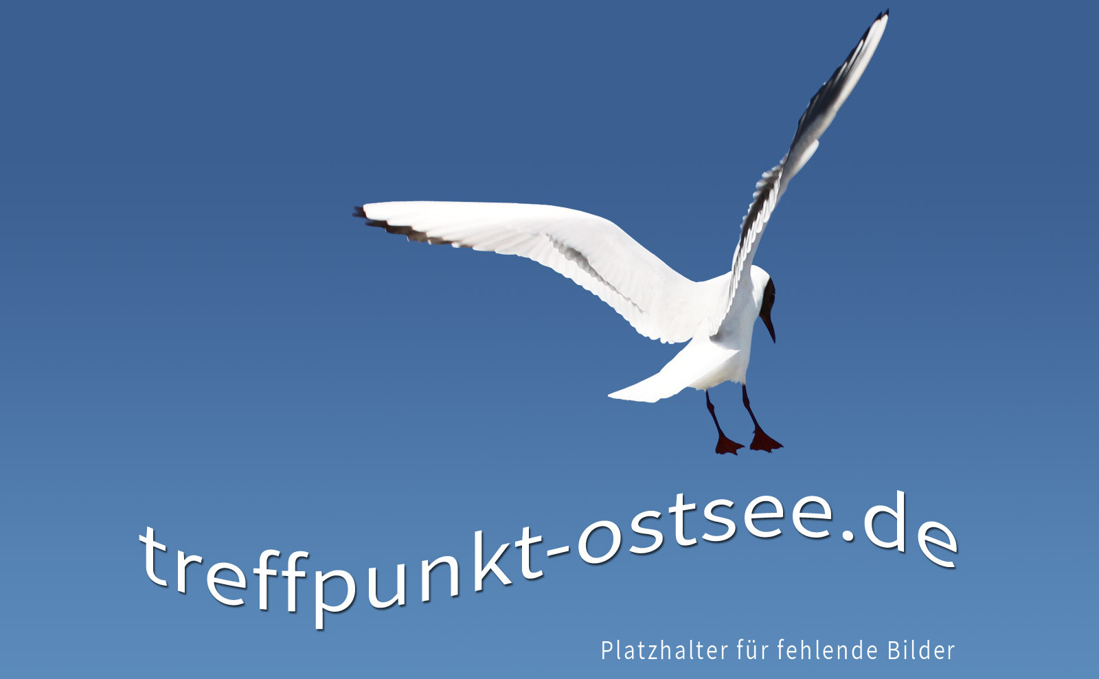 Naturschutzgebiet Peenemünder Haken